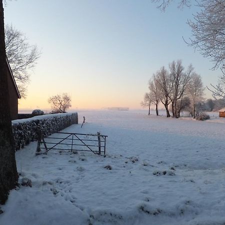 Studio Het Grenspaaltje Nijeveen Dış mekan fotoğraf